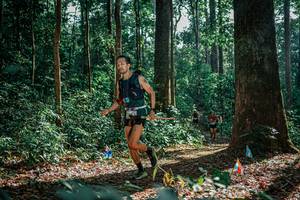 BIB: 
                            <button type="button" onclick="openModal(26129647)" class="btn btn-primary btn-sm float-right btn-popup" data-toggle="modal" data-target=".modal-high-quality">
                        <i class="fas fa-shopping-cart"></i> Add to Cart
                    </button>
                                            <button type="button" onclick="isThisMe(26129647, true)" class="btn btn-success btn-sm float-right btn-popup btn-isme hidden" data-toggle="tooltip" data-placement="bottom" title="นี่คือรูปของคุณใช่ไหม คลิกที่นี่เพื่อเอาเข้าอัลบั้ม">
                        <i class="fas fa-plus"></i> Add to album
                    </button>
                    <button type="button" onclick="isThisMe(26129647, false)" class="btn btn-warning btn-sm float-right btn-popup btn-isnotme hidden">
                        <i class="fas fa-ban"></i> Remove from album
                    </button>